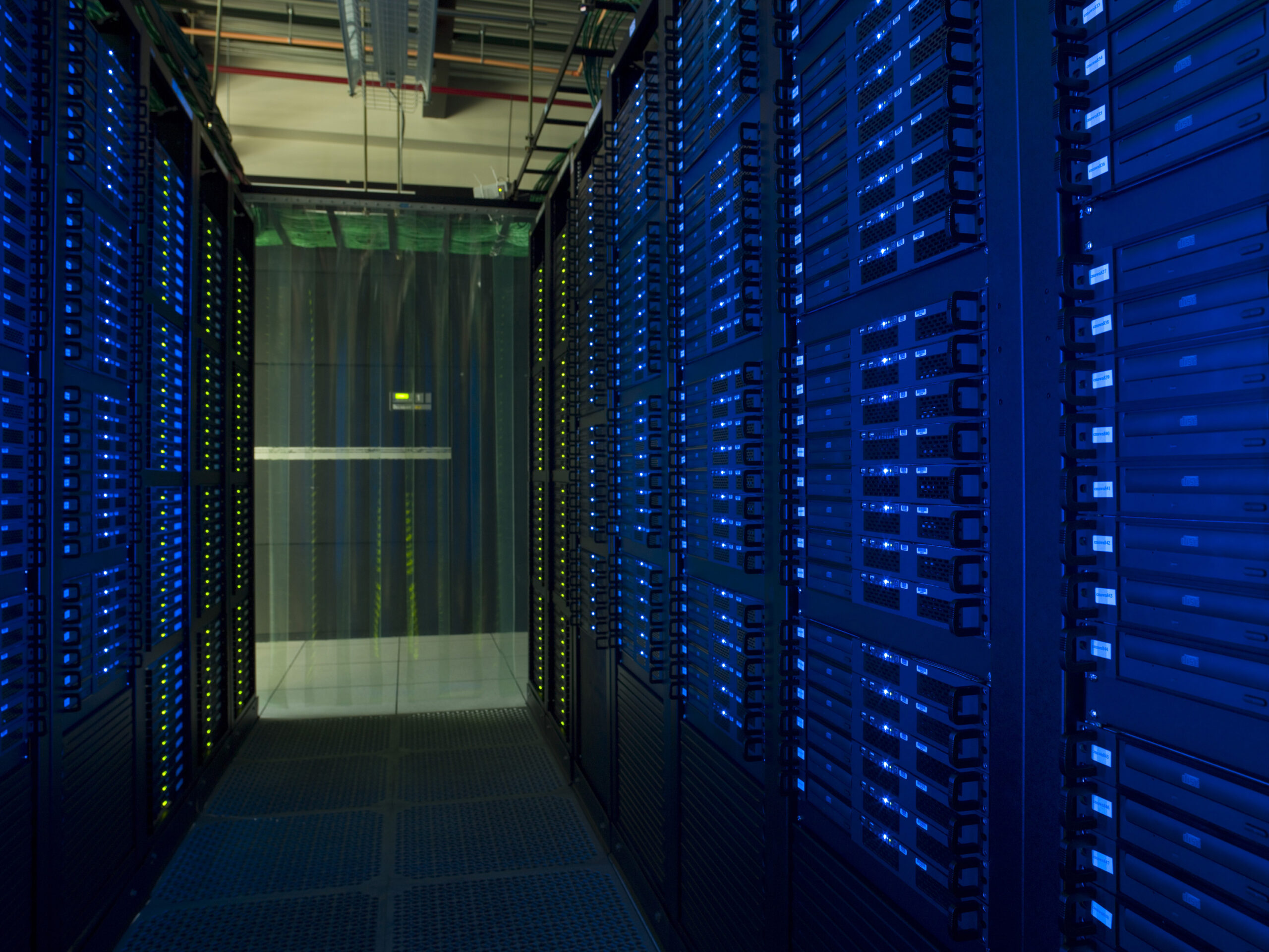 Website & Server off of the Ground