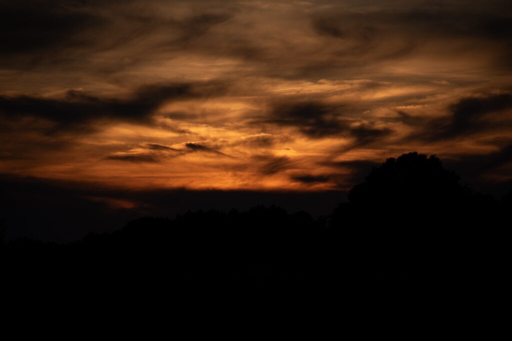 _DSC0079