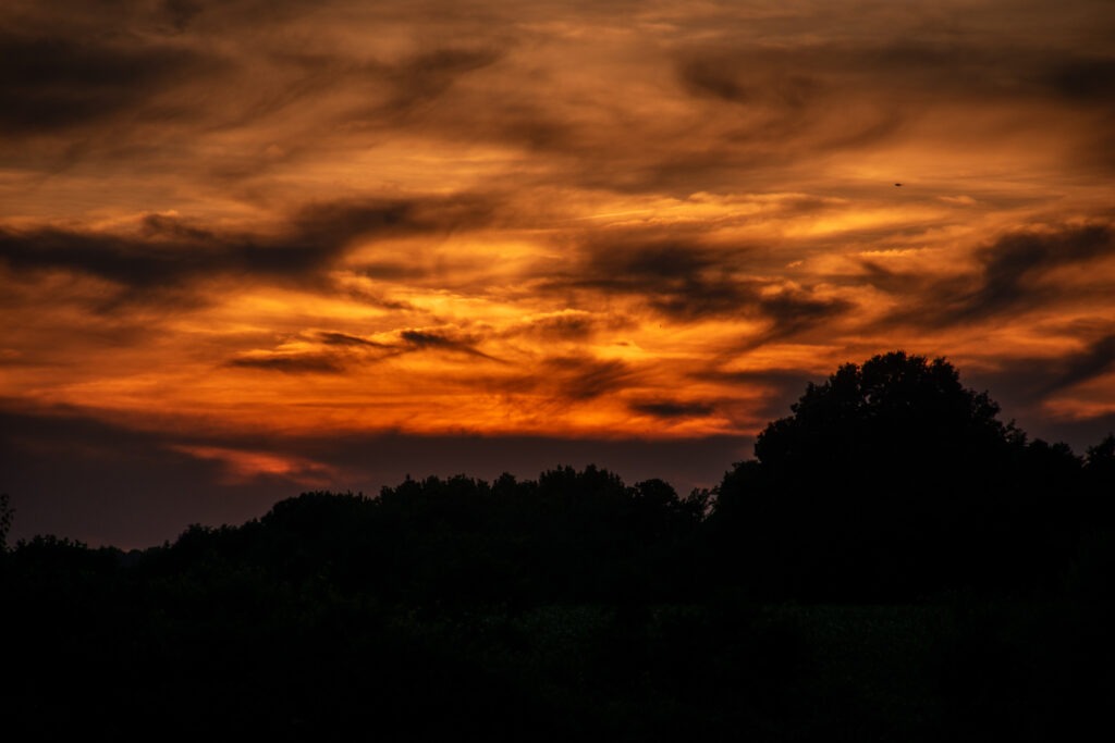 _DSC0080