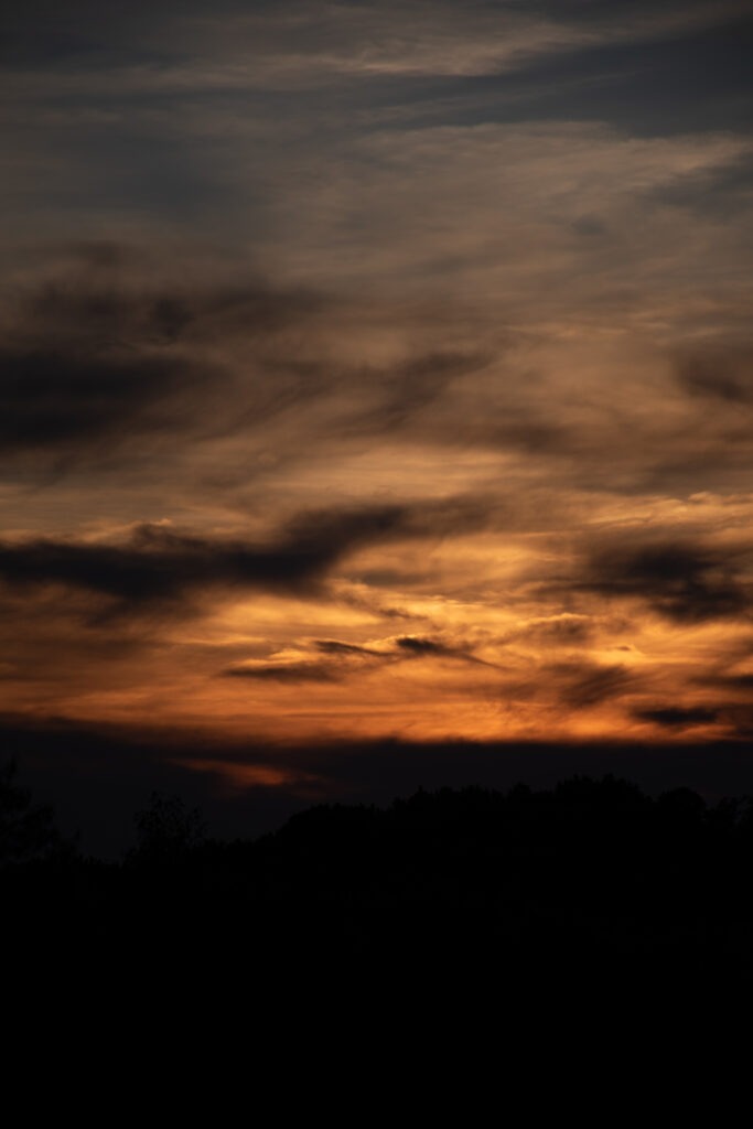 _DSC0088