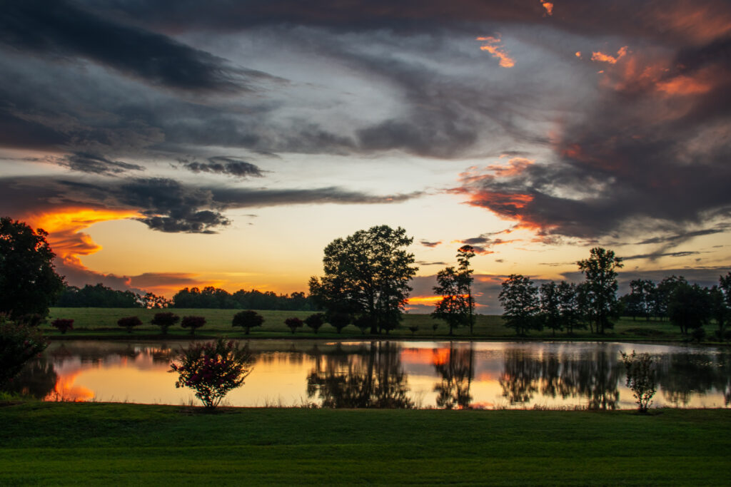 A vibrant sunset viewed over a pond surrounded by trees reflected in the pond.