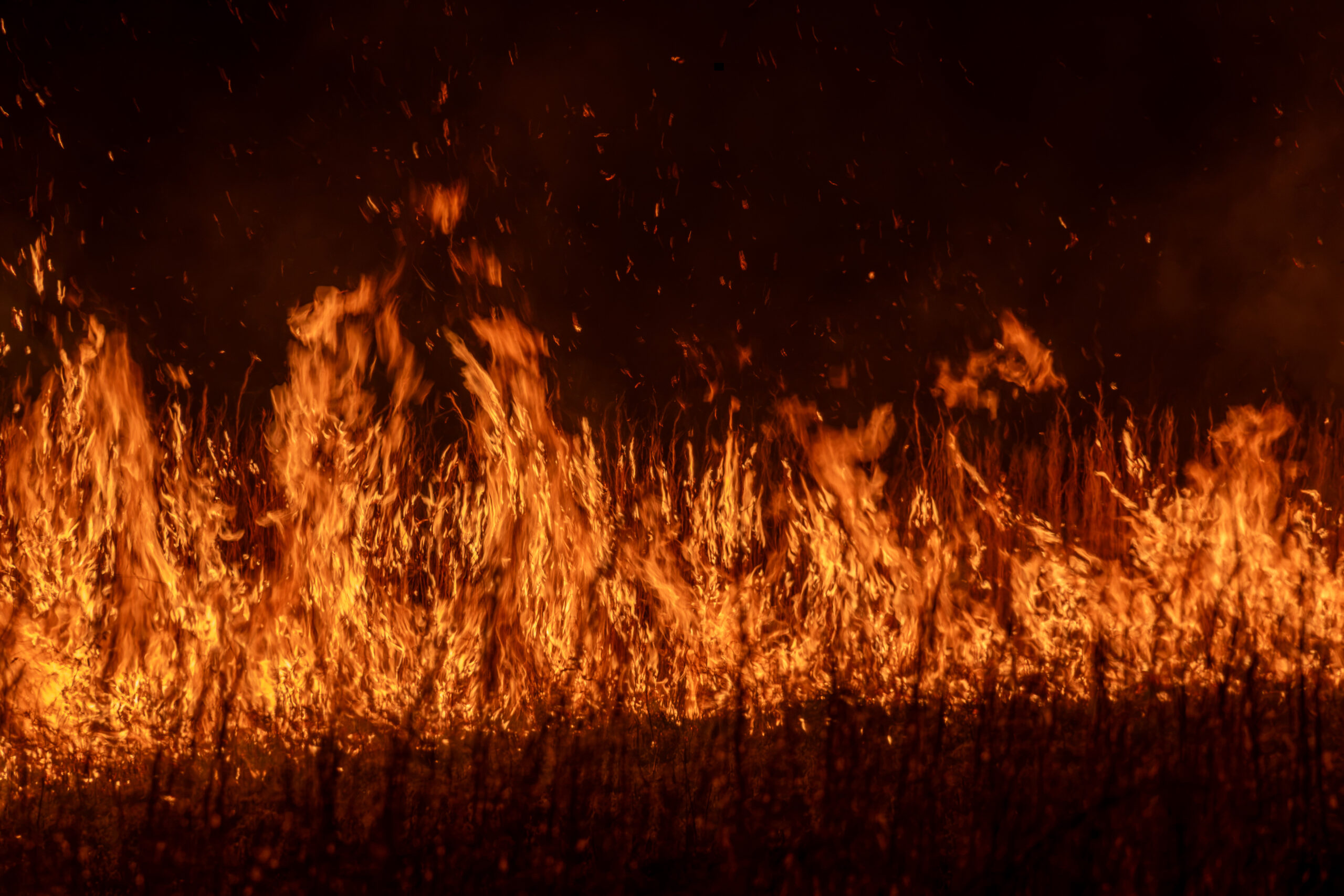 Fully Engulfed Field